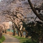 平成27年から適用の相続税改正