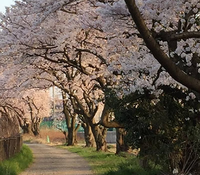 150401
