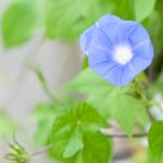 相続手続きが、もっと簡単に！