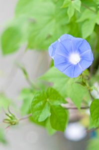 a0001_003348_m