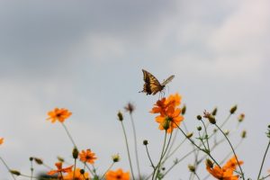 a1380_000684