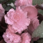 葬儀に際して受け取った香典は、誰のもの？