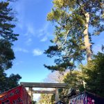 経営者が成功することと神社に行くことの関係