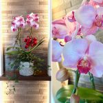 時間管理にとらわれず、毎日を楽しむことに時間を費やそう